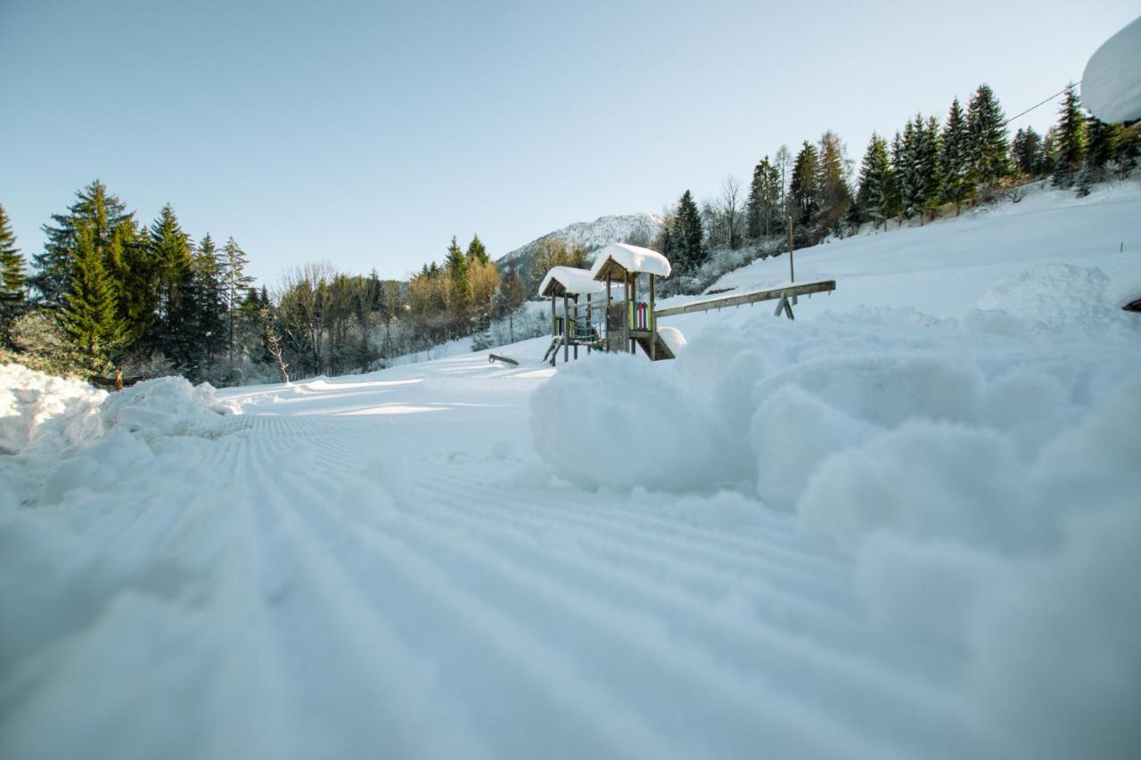 שלניצן Chalets Und Apartments Hauserhof Nassfeld מראה חיצוני תמונה