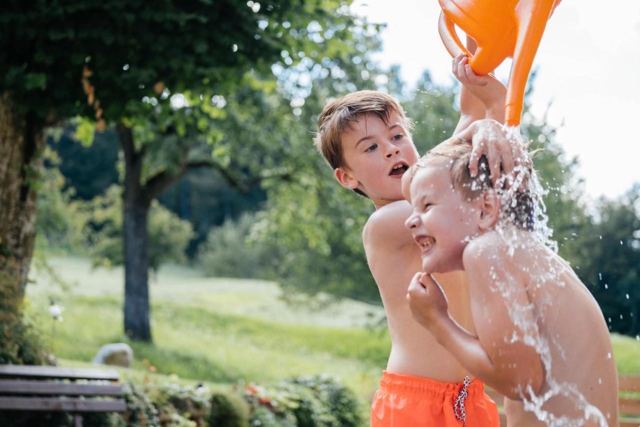 שלניצן Chalets Und Apartments Hauserhof Nassfeld מראה חיצוני תמונה